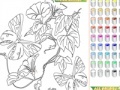 Spel Kid's coloring: Flowers for Butterflies