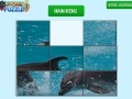 Spel Dolphin Slider