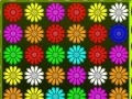 Spel Flower Action Puzzle