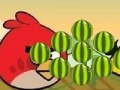 Spel Angry Birds - cut the rope