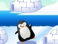 Spel Find Penguin