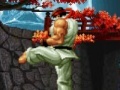 Spel The king of the fighters. Wing V1.8
