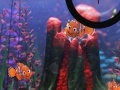 Spel Finding Nemo hide and seek