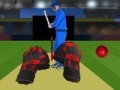 Spel Cricket tap catch