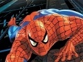 Spel Spider-Man: Puzzles