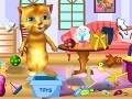 Spel Ginger: Cleaning House