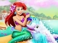 Spel Ariel Dolphin Wash