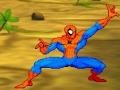 Spel Spiderman: Hero Training 