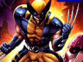 Spel Wolverine Differences 