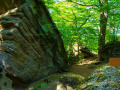 Spel Rock Lush Forest Escape