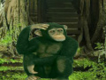 Spel Chimpanzee Forest Escape