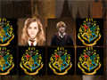 Spel Harry Potter Memo Deluxe