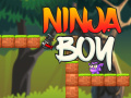 Spel Ninja Boy