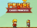 Spel Prince and Caged Princess  