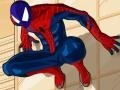 Spel Spiderman Costume