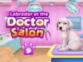 Spel Labrador at the doctor salon    