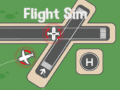 Spel Flight Sim