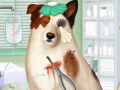 Spel Doctor For Dog With a Blog