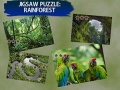 Spel Jigsaw Puzzle Rain Forest 