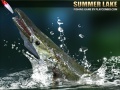 Spel Summer Lake