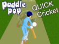 Spel Paddle Pop Quick Cricket