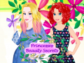 Spel Princesses Beauty Secrets