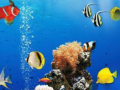 Spel Sea Underwater Difference