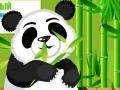 Spel Panda Care