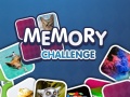 Spel Memory Challenge