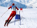Spel Slalom Ski Simulator