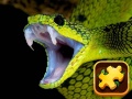 Spel Snake Puzzle Challenge