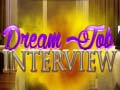 Spel Dream Job Interview