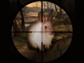 Spel Classical Rabbit Sniper Hunting 2019