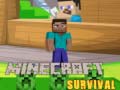 Spel Minecraft Survival