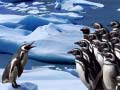 Spel Penguins Slide