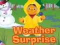 Spel Weather Surprise