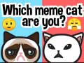 Spel Which Meme Cat Are You?