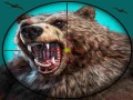 Spel Wild Bear Hunting