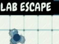 Spel Lab Escape