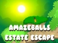 Spel Amazeballs Estate Escape