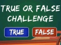 Spel  True Or False Challenge