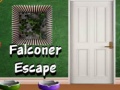Spel Falconer Escape