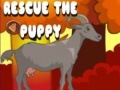 Spel Rescue The Puppy