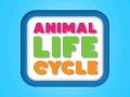 Spel Animal Life Cycle