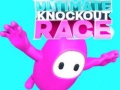 Spel Ultimate Knockout Race