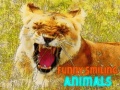 Spel Funny Smiling Animals