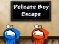 Spel Delicate Boy Escape