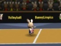 Spel Bunny volleyball