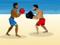 Spel Beach fighting