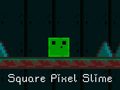 Spel Square Pixel Slime